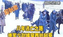 极地重生在线观看,揭秘极地探险传奇