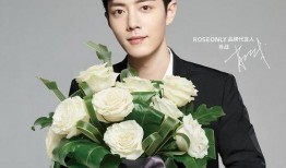 肖战最新玫瑰物料爆料,玫瑰映衬下的深情演绎
